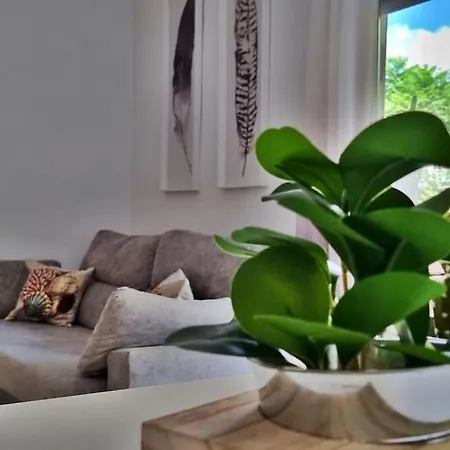 Acogedor En Playa De Boliches 公寓 丰希罗拉